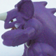 Nidoking Knockoff number 7