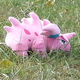 November 2018, The Nidoran Caravan