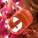 October 2018, Hanging Pumpkins