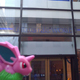 Nintendo Store